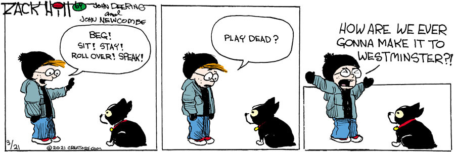 Zack Hill for Mar 21, 2021