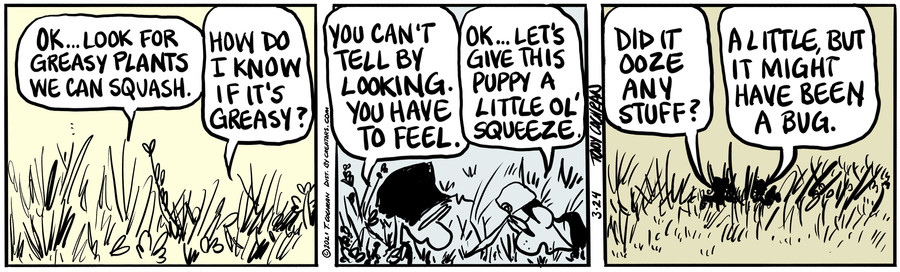 Agnes for Mar 24, 2021