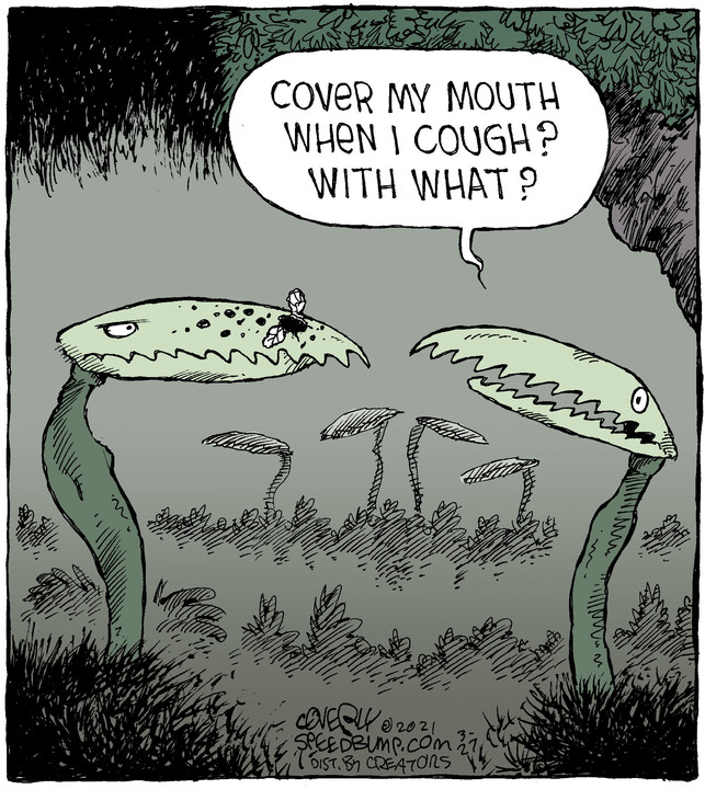 Speed Bump for Mar 27, 2021