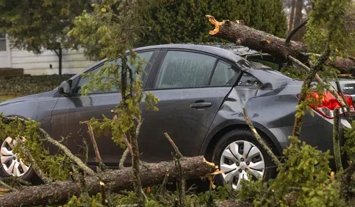 A tree lies fallen atop the rear section of a car near the intersection of Beech Street and Division Street on Sunday, March 30, 2025, after severe thunderstorms and high winds in East Lansing, Mich. (Arthur H. Trickett-Wile/MLive.com/The Grand Rapids Press via AP)