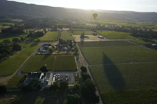 A hot air balloon floats over vineyards, seen from a Napa Valley Aloft balloon, in Napa, Calif., Monday, June 19, 2023. This year, wine grapes are thriving after a winter of record amounts of rain fell in California, but a recent trip high above the valley in a hot air balloon revealed miles of lush, green vineyards — the only blemish coming from shadows cast by the balloons themselves. (AP Photo/Eric Risberg)