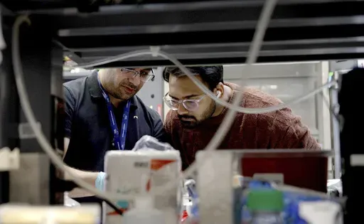 Lab workers at Johns Hopkins University work in Richard Huganir's lab in Baltimore, Md., on Feb. 26, 2025. (AP Photo/Shelby Lum)