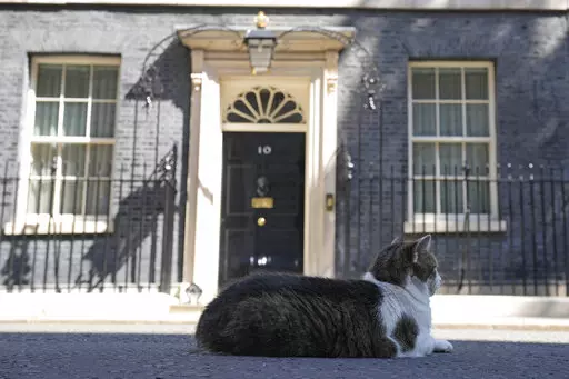 Larry the Cat, Britain's Chief Mouser to the Cabinet Office rests in front of 10 Downing Street in London, Friday, July 8, 2022. Britain's Prime Minister Boris Johnson announced that less than three years after becoming prime minister, he was resigning and would remain in office only until a successor emerged.(AP Photo/Frank Augstein)
