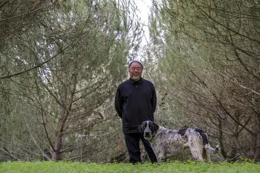Dissident Chinese artist and activist Ai Weiwei poses for a photo in the garden of his country house in Montemor-o-Novo, Portugal, Tuesday, Dec. 6, 2022. Ai is taking heart from recent public protests in China over the authorities' strict COVID-19 policy, but he doesn't see them bringing about any significant political change. (AP Photo/Ana Brigida)