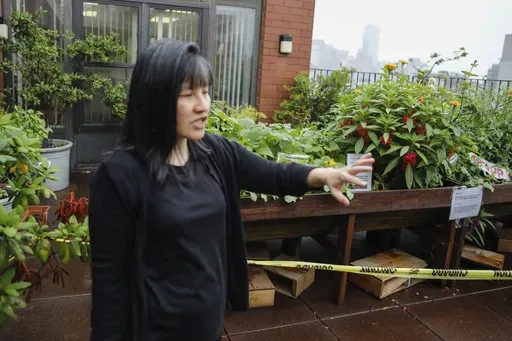 Beatrice Chen, executive director of Immigrant Social Services, walks by the garden of the Senior Living Chung Pak complex, Thursday, Aug. 8, 2024, in New York. (AP Photo/Kena Betancur)