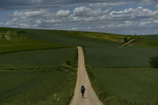 A pilgrim walks during a stage of "Camino de Santiago" or St. James Way near to Santo Domingo de La Calzada, northern Spain, May 31, 2022. In 2023, nearly half a million people walked the Camino de Santiago in Spain. About 40% did so for purely religious reasons. While it’s traditionally a Catholic pilgrimage, people today embark on the Camino for many motivations beyond religion: health, grief, transition, adventure. (AP Photo/Alvaro Barrientos, File)
