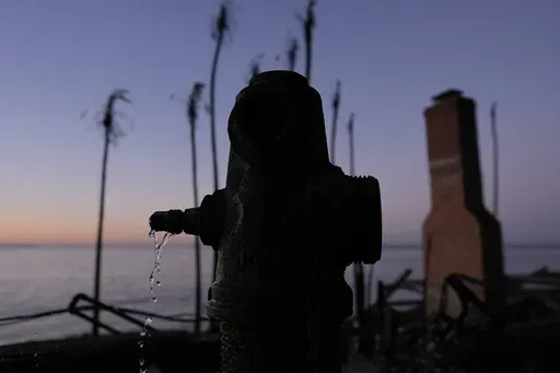 A burned fire hydrant drips water in front of charred trees in Malibu, Calif., Jan. 14, 2025. (AP Photo/Carolyn Kaster, File)
