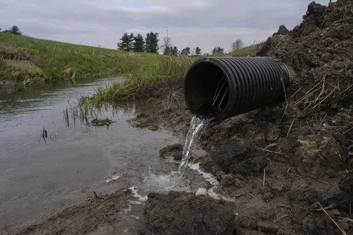 Water runs out of a drain under an agricultural field, Tuesday, April 9, 2024, in Sabina, Ohio. (AP Photo/Joshua A. Bickel, File)