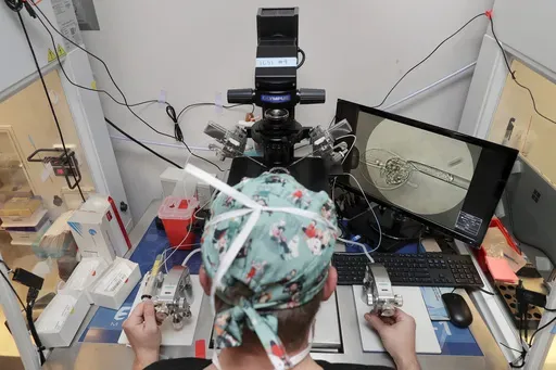 Lab staff use a microscope stand and articulated hand controls to extract cells from 1-7 day old embryos, shown on the monitor at right, that are then checked for viability at the Aspire Houston Fertility Institute in vitro fertilization lab Feb. 27, 2024, in Houston. According to a new poll from The Associated Press-NORC Center for Public Affairs Research, relatively few Americans fully endorse the idea that a fertilized egg should have the same rights as a pregnant woman. But a significant sha