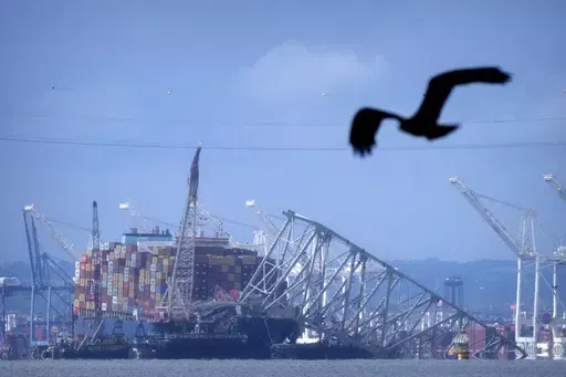A bird flies past the collapsed Francis Scott Key Bridge resting on the container ship Dali on Sunday, May 12, 2024, in Baltimore, as seen from Riviera Beach, Md. An effort to remove sections of the collapsed bridge resting on the Dali was postponed on Sunday. (AP Photo/Mark Schiefelbein)