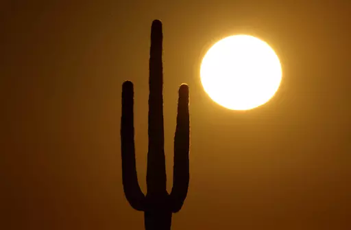 A saguaro cactus stands against the rising sun Monday, Feb. 22, 2016, in the desert north of Phoenix. The death of an older Arizona woman when her electricity was cut during a heat spell five years ago spurred changes in shutoff rules. The Arizona agency that oversees regulated utilities now bans power companies from cutting off power for failure to pay during Arizona's hottest months. (AP Photo/Charlie Riedel, File)
