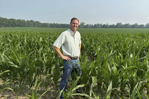 This photo provided by Mike Shane shows Shane as he stands in his corn field near Peoria, Ill., Tuesday, June 27, 2023. By now, the corn stalks should be 10 feet high. Instead, they’re barely up to Shane’s waist. Illinois and other corn-growing states in the central U.S. have been hit hard by drought, prompting concerns that the crop will be hurt this year. (Mack Foster/Mike Shane via AP)