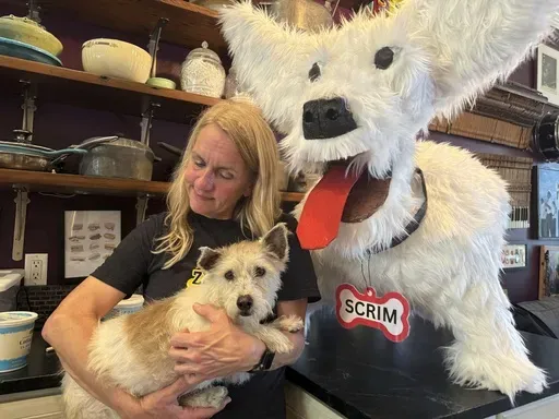 Scrim, a fugitive New Orleans rescue dog who gained fame evading a city-wide effort search for months, is held by Michelle Cheramie, who led efforts leading to his capture on Tuesday, Feb. 11, 2025 in New Orleans. (AP Photo/Jack Brook)