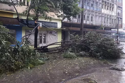 Trees are strewn across a street in Quelimane, Mozambique, Saturday, March 11, 2023. Record breaking Cyclone Freddy, will make its second landfall in Mozambique on Sunday morning as an "intense tropical cyclone". (AP Photo)