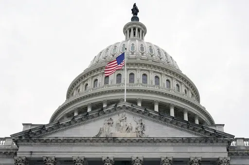 The Capitol is seen on Nov. 14, 2024, in Washington. (AP Photo/Mariam Zuhaib, File)