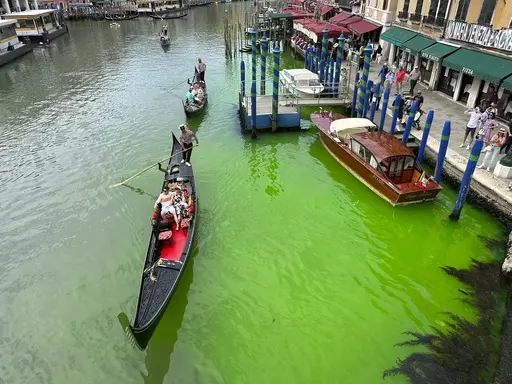 A bright patch of green is seen in the Grand Canal along an embankment lined with restaurants, in Venice, Italy, Sunday, May 28, 2023. Police in Venice are investigating the source of a phosphorescent green liquid patch that appeared Sunday in the city's famed Grand Canal. (AP Photo/Luigi Costantini)
