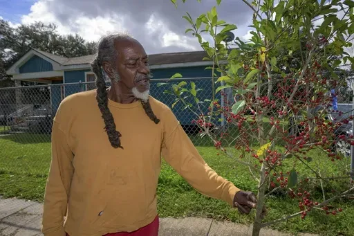 Albert Florida, a resident of the Lower 9th Ward for over 40 years, looks at one of the trees planted by SOUL (Sustaining Our Urban Landscape) in New Orleans, Thursday, Feb. 27, 2025. (AP Photo/Matthew Hinton)