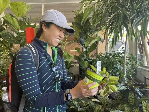 Customer Amy Ashcroft looks at a plant at Flowercraft at Flowercraft, a garden center, on March 13, 2024 in San Francisco. Garden centers enjoyed a pandemic boom, particularly with millennials, as people looked for outdoor activities during lockdowns. (AP Photo/Haven Daley)