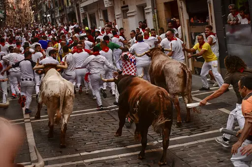 People run through the streets with fighting bulls and steers during the last day of the running of the bulls at the San Fermin festival in Pamplona, northern Spain, Thursday, July 14, 2022. (AP Photo/Alvaro Barrientos)