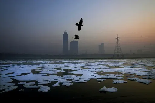 Birds fly over toxic foams floating in the river Yamuna in New Delhi, India, Tuesday, Oct. 29, 2024. (AP Photo/Manish Swarup)