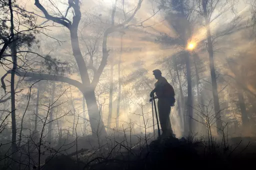 FILE -A member of the Bridge Crew watches over a fire line, Wednesday, Jan. 6, 2010, in case the prescribed burn jumps the line and ignites on the other side of Kings Pinnacle in Crowders Mountain State Park in Gastonia, N.C. As the U.S. tries to restore a key forest ecosystem in the Southeast, landowners must light more fires on private property. The so-called “prescribed burns” are key to clearing forest debris and allowing pine cones to drop seeds onto the floor. (John D. Simmons /The Cha