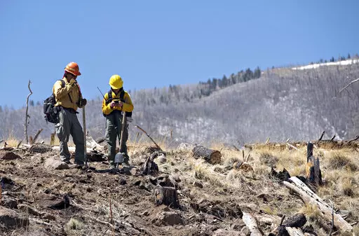 A pair of Resource Advisors from the Coconino National Forest record data in Division Alpha as they work to determine the severity of Tunnel Fires impact on the Forest. April 21, 2022 near Flagstaff, Ariz. The San Francisco Peaks in the rear show the effects of the 2010 Schultz Fire. (Tom Story/Northern Arizona Type 3 Incident Management Team, via AP)