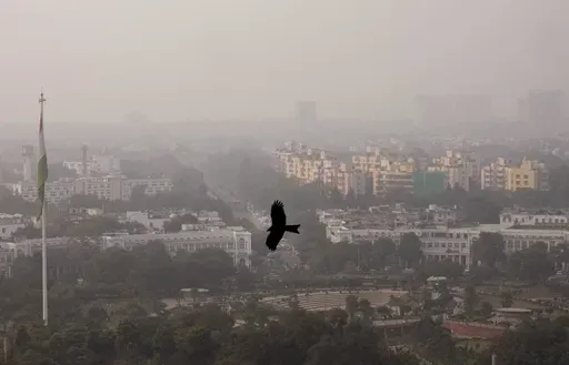 A bird flies through a thick layer of smog in New Delhi, India, Nov. 20, 2024. (AP Photo/Manish Swarup, File)