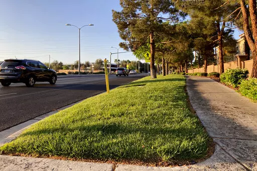 Traffic passes a grassy landscape on Green Valley Parkway in suburban Henderson, Nev., on April 9, 2021. In November 2022, some of the largest water agencies in the western United States agreed to a framework that would dramatically reduce the amount of decorative grass in cities such as Los Angeles, Las Vegas, Salt Lake City and Denver. The agreement comes as the seven states that rely on the overtapped Colorado River are facing a dire future with less water to go around. (AP Photo/Ken Ritter, 