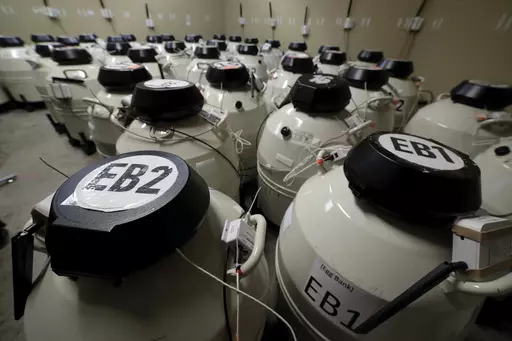 A room full of smaller cryo storage containers, each capable of holding approximately 150 egg samples immersed in liquid nitrogen, in one of the secured storage areas at the Aspire Houston Fertility Institute in vitro fertilization lab Tuesday, Feb. 27, 2024, in Houston. Women over 35 and those facing serious diseases like cancer, lupus and sickle cell are among the most likely to turn to IVF to build the families they desperately want. But in Alabama, they are among those whose dreams are in li
