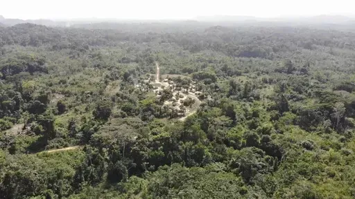 Yarkpa Town stands out in the surrounding rainforest in Rivercess County, Southeast Liberia, Wednesday, March 6, 2024. In the past year, the Liberian government has agreed to sell about 10% of the West African country's land — equivalent to 10,931 square kilometers (4,220 square miles) — to Dubai-based company Blue Carbon to preserve forests that might otherwise be logged and used for farming, the primary livelihood for many communities. (AP Photo/Derick Snyder)