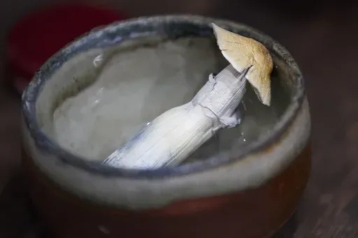 Mushrooms for patient use are shown at a psilocybin service center in Gresham, Ore., Monday, Nov. 18, 2024. (AP Photo/Craig Mitchelldyer)