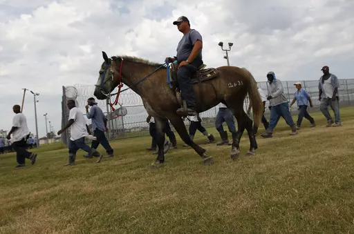 Prison guards ride horses that were broken by inmates as they return from farm work detail at the Louisiana State Penitentiary on Aug. 18, 2011, in Angola, La. Men incarcerated at Louisiana State Penitentiary filed a class-action lawsuit Saturday, Sept. 16, 2023, contending they have been forced to work in the prison’s fields for little or no pay, even when temperatures soar past 100 degrees. They described the conditions as cruel, degrading and often dangerous. (AP Photo/Gerald Herbert, File)