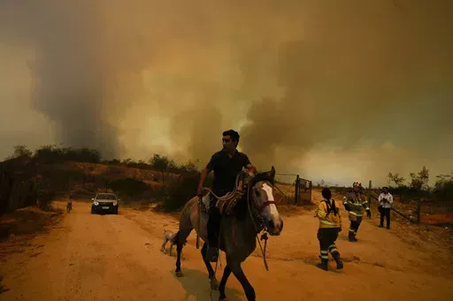 A resident flees an encroaching forest fire in Vina del Mar, Chile, Feb. 3, 2024. Police arrested a suspect on Friday, May 24, 2024, for allegedly causing the forest fire that left 137 dead and injured some 16,000 people in the Valparaíso region. (AP Photo/Esteban Felix, File)