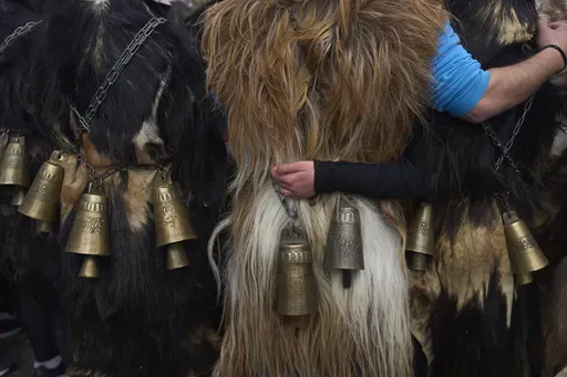 Revellers dressed in animal skins and heavy bronze bells, prepare to take part in carnival celebrations in Distomo, a village in central Greece, on Monday, March 3, 2025. (AP Photo/Petros Giannakouris)