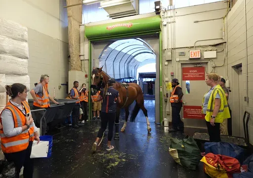 Hailey Burlock, groom for U.S. Olympic Eventing Team member Will Coleman, guides Off The Record to a cargo stall at The Ark at John F. Kennedy International Airport in New York, Wednesday, July 17, 2024. (AP Photo/Pamela Smith)