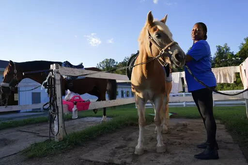 Dionne Williamson, of Patuxent River, Md., grooms Woody before her riding lesson at Cloverleaf Equine Center in Clifton, Va., Tuesday, Sept. 13, 2022. After finishing a tour in Afghanistan in 2013, Williamson felt emotionally numb. As the Pentagon seeks to confront spiraling suicide rates in the military ranks, Williamson’s experiences shine a light on the realities for service members seeking mental health help.  (AP Photo/Susan Walsh)