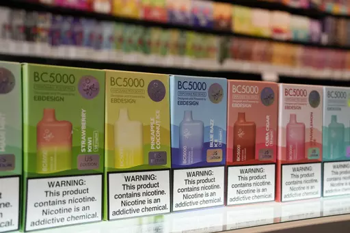 Varieties of disposable flavored electronic cigarette devices manufactured by EB Design, formerly known as Elf Bar, are displayed at a store in Pinecrest, Fla., Monday, June 26, 2023. U.S. officials are seizing more shipments of unauthorized electronic cigarettes. But industry data shows thousands of new flavored products continue pouring into the country from China. (AP Photo/Rebecca Blackwell, File)