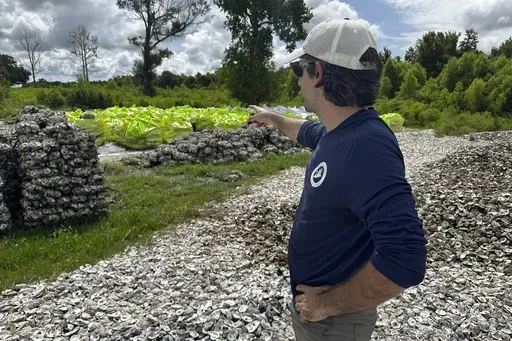 Michael Boris, with the Coalition to Restore Coastal Louisiana (CRCL), shows off thousands of Oyster shells that will eventually be used to fight coastal erosion along the southern most parts of the state, Wednesday, July 24, 2024, in Violet, La. (AP Photo/Stephen Smith)