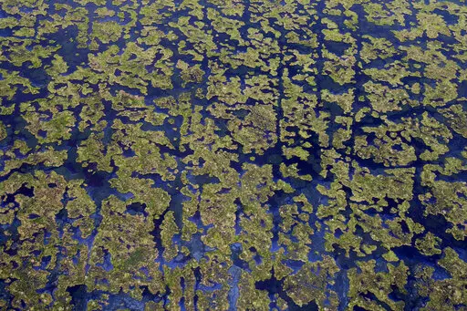 Wetlands are seen from a helicopter on the Louisiana coast on July 10, 2010. The U.S. Supreme Court has rejected an appeal Monday, Feb. 27, 2023, by major energy companies, including Chevron, ConocoPhillips and Exxon Mobile, that had hoped to move a lawsuit alleging damage to Louisiana wetlands by decades of oil and gas drilling from state to federal courts. (AP Photo/Patrick Semansky, File)