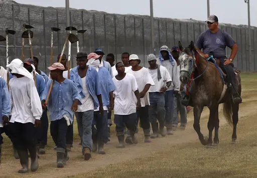 A prison guard rides a horse alongside prisoners as they return from farm work detail at the Louisiana State Penitentiary in Angola, La., on Aug. 18, 2011. U.S. District Court Judge Brian Jackson issued a temporary restraining order Tuesday, July 3, 2024, giving the state department of corrections seven days to provide a plan to improve conditions on the so-called Farm Line at Louisiana State Penitentiary, otherwise known as Angola. (AP Photo/Gerald Herbert, File)
