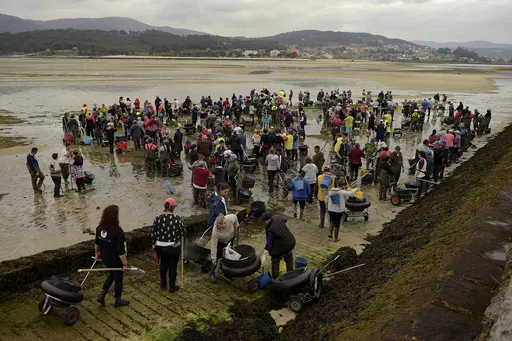Clam diggers gather in the lower estuary of Lourizan, before starting their work day in Galicia, northern Spain, Thursday, April 20, 2023. They fan out in groups, mostly women, plodding in rain boots across the soggy wet sands of the inlet, making the most of the low tide. These are the clam diggers, or as they call themselves, "the peasant farmers of the sea." Clam collecting in the expansive inlets of Spain's northwestern region of Galicia is a deep-rooted tradition from time eternal and has b