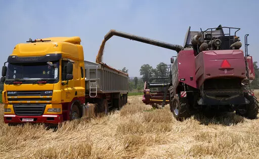 A combine harvester offloads wheat grain into a truck during a harvest at a farm in Bindura about 88 kilometres north east of the capital Harare, Monday, Oct, 10, 2022. Zimbabwe says it is on the brink of its biggest wheat harvest in history, thanks in large part to efforts to overcome food supply problems caused by the war in Ukraine. But bush fires and impending rains are threatening crops yet to be harvested. (AP Photo/Tsvangirayi Mukwazhi)