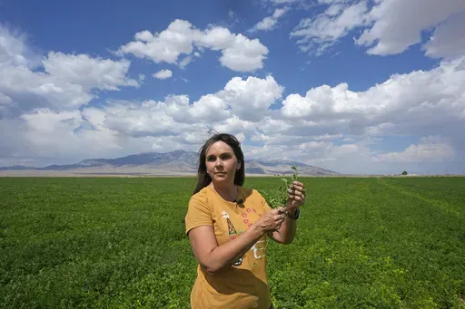 Janille Baker, Baker ranch's controller, stands in a field on the Baker Ranch Monday, Sept. 9, 2024, in Baker, Nevada. (AP Photo/Rick Bowmer)