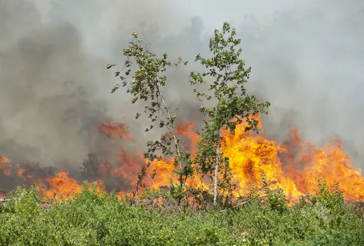 Fires burn along Highway 27 in Beauregard Parish, La., Thursday, Aug. 24, 2023. The wildfire in southwestern Louisiana forced 1,200 residents in the town of Merryville, located in Beauregard Parish, to evacuate on Thursday. (Brad Bowie/The Times-Picayune/The New Orleans Advocate via AP)