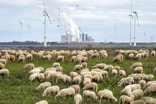 A flock of sheep graze in front of a coal-fired power plant at the Garzweiler open-cast coal mine near Luetzerath, western Germany, Oct. 16, 2022. The International Energy Agency said Wednesday, Oct. 19, that it expects carbon emissions from the burning of fossil fuels to rise again this year, but by much less than in 2021 due to the growth in renewable power and electric cars. (AP Photo/Martin Meissner, File)