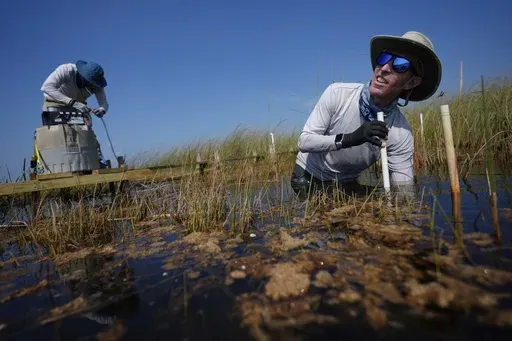 Florida International University professor John Kominoski, right, and research specialist Rafael Travieso adjust automatic water sampling equipment in Shark River Slough in Florida's Everglades National Park, Tuesday, May 14, 2024. (AP Photo/Rebecca Blackwell)