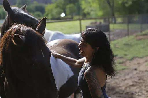 Joanne Cacciatore brushes horse Chemakoh at the Selah Carefarm in Cornville, Ariz., Oct. 4, 2022. Everyone has their favorite here, but horses may be the stars. Cacciatore believes they may even be more powerful than the counselors on site. Many tell of moving moments with a horse pressed their head to a grieving heart or lowered their face to the earth beneath them as they cried. "There's a resonance. There's a symbiosis," Cacciatore says. "It's hard to put to words, but it happens. I witness i