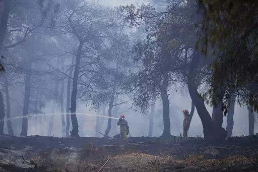 Firefighters spray water inside a woodland during a wildlife in the suburb of Stamata, in northern Athens, Greece, Monday, Sept. 4, 2023. Wildfires are common in Greece and other southern European countries during their hot, dry summers as dozens of fires have been breaking out each day across the country for weeks. (AP Photo/Thanassis Stavrakis)