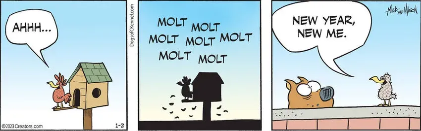 Dogs of C-Kennel for Jan 02, 2023