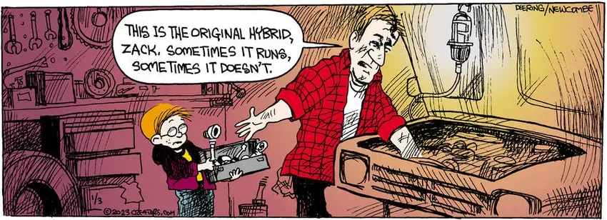 Zack Hill for Jan 03, 2023